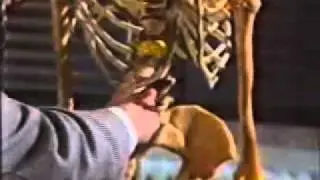Pc Yvonne Fletcher & the US bombing raid on Libya 1986 (part 1)