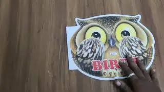 Discount 😍 Jumbo Birds Coloring Book at Rs.40/-