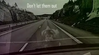 Code Electronica   Don&acute;t let them out (Official Music Video)