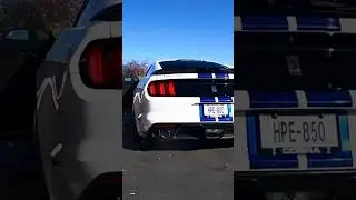 850hp Hennessy Racing Custom Shelby Mustang Revs ‼️ #ford #mustang #hennessy #revs #insane #exhuast