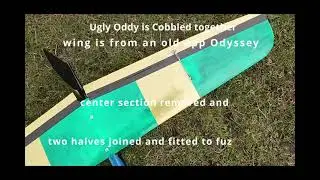 Ugly oddy 08 03 2024
