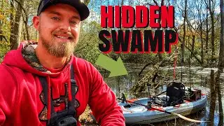 Kayaking Down River For Hidden Swamps!