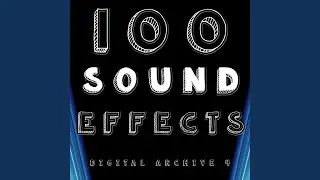 Sound 119