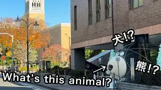 【TOKYO Drive】🍠目白通り・学習院大学・早稲田大学｜Date R7.11.30｜🎥 iPhone 17 Pro / HD 60fps ｜🎧Japan BGM｜作業用BGM・10分