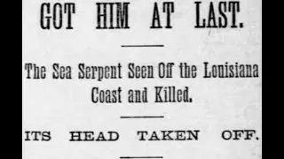 The Curious Case of The Gulf of Mexico Sea Serpent