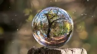 Relaxing Music (8D) Vol- 2 | Zen Meditation Music, Reiki, Deep Sleep, Healing, Chakra, Study, Focus