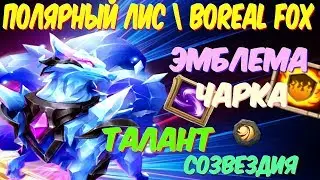 КАК ПРАВИЛЬНО ПРОКАЧАТЬ ЛИСА \ ТАЛАНТ, ЭМБЛЕМА, ЧАРКА, СОЗВЕЗДИЯ, \ BOREAL FOX \ CASTLE CLASH