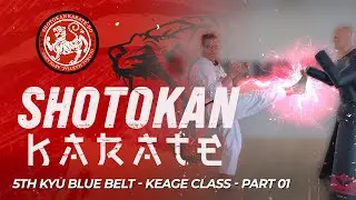 Шотокан каратэ - 5-й синий пояс Кю - класс Кеаге (Часть 1)