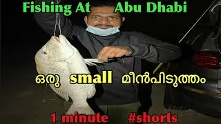 Fishing | Fishing Abu Dhabi Dubai | Fishing kerala In Malayalam  | Fishing Freaks #shorts