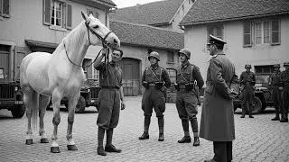 When American Tanks Turned Cavalry &mdash; The Daring Rescue of the Lipizzaner Stallions