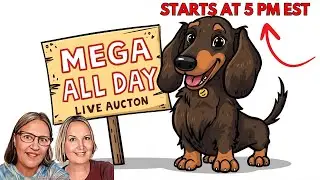 Live AUCTION 4 pm CST Today | Great Deals, Home Decor, Clothes BUY NOW