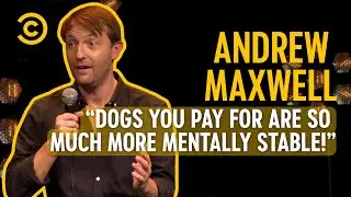 Getting A Dog | Andrew Maxwell: Yo Contraire