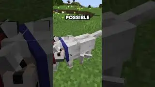 New Mixed Wolf Collar Color Update in Minecraft