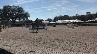 Coupe De Chance - Ariat medal