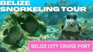BELIZE CITY SNORKELING TOUR - EXCURSION FROM CRUISE PORT - GOFF'S CAYE - RELAXING PIANO MUSIC
