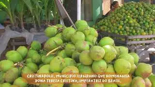 Essa &eacute; minha Rota - Cristin&aacute;polis