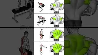 Build a Stronger Back: Top Dumbbell Workouts for Impressive Results!