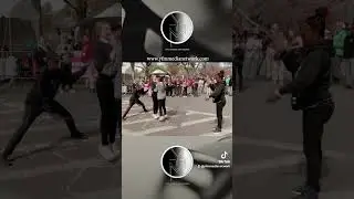 Experience the Magic of Events DC: Cherry Blossom Festival 2023