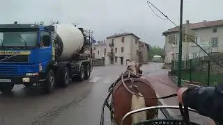 Marine