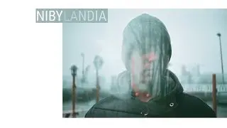 Wierzba - Nibylandia