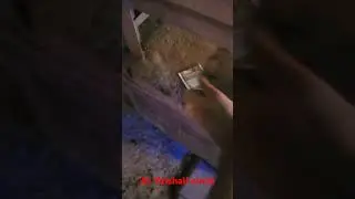 money drop #shorts #ytshort #jaipur #earnmoney #findmoney #easymoney #paisa #money #viral #reel#rich