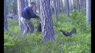 Spillegal Tiur - www.jaktgal.no