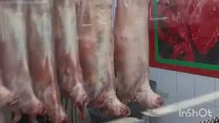 Ajman vegetable Market And Live Chicken 🐔 Market 