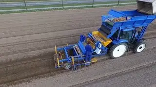 Lelie Bollen Planten| New Holland Ts135| Van Meijel| Maasbree