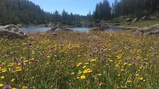 Veliko Špičje in Triglavska jezera (Triglav Lakes) 2016