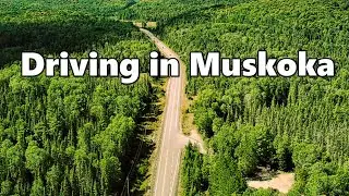 We Drove in Muskoka - The Best Scenic Drive in Ontario