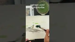 Duck painting