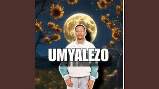 Emoyeni wami