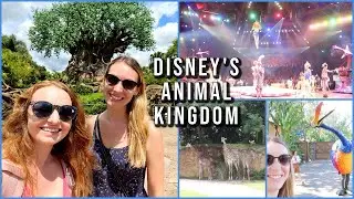 Disney's Animal Kingdom l Walt Disney World Vlog l Sunset Walk Kissimmee l August 2022 aclaireytale