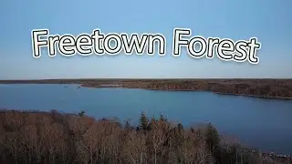 History of the Freetown State forest (Pt.2)