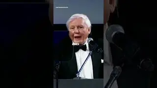 David Attenborough describes humanity 😢