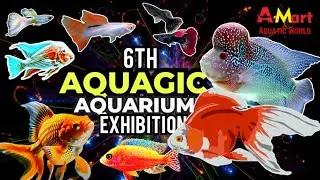 A MART AQUATIC WORLD CELEBRATES THE SPIRIT OF AQUAGIC | AQUAGIC EXHIBITION | AQUARIUM EXHIBITION