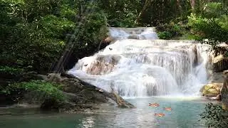 Shhhh White Noise Waterfall for Baby Sleep