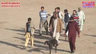 26 Jan 2021 final country bread chak 82 coursing race