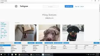 Instagram Hashtag Research done QUICK with Instant Quality