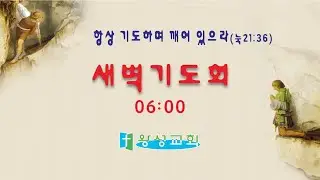 [믿음으로 땅을 정복하라 ] 26/01/30/06:00 | 평택왕성교회 | 한반석 목사 ||