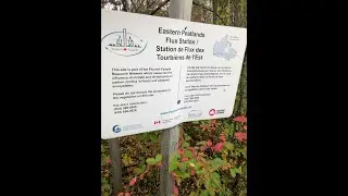 Eastern Peatlands Flux Station
