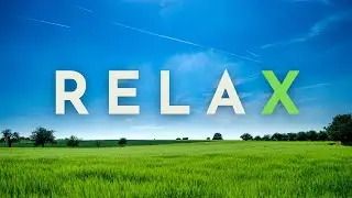 Sunny Field Sounds on a Summer Day | Ambient Sounds | 1 Hour