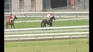 Set Alight sets new Class and Track record