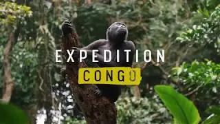 Expedition Congo (Trailer)