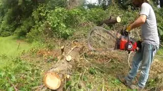 Why Your Chainsaw Will Not Cut Straight