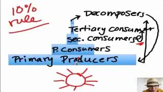 Ecosystem Energy