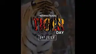 International Tiger day status | World tiger day | CREATOKIT APP