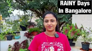 മഴ കാരണം മുടങ്ങിയതൊക്കെ തീർക്കാമെന്ന് വിചാരിച്ചു😅A Day In My Life @ Bangalore