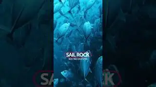 Epic Scuba Diving at Sail Rock, Thailand&rsquo;s #1 Dive Site 🐟