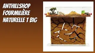 AVIS (2026) : ANTHILLSHOP Fourmili&egrave;re Naturelle T Big. D&Eacute;TAILS